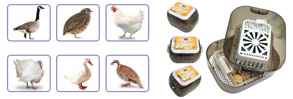 دستگاه جوجه کشی ایزی باتور با امکان جوجه کشی ار پرندگان مختلف