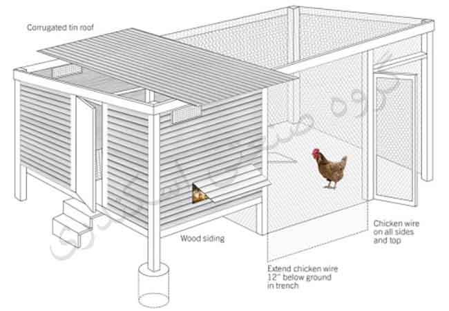 chicken-coop-illustration