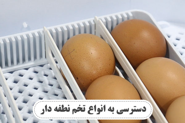 دسترسی به انواع تخم نطفه دار